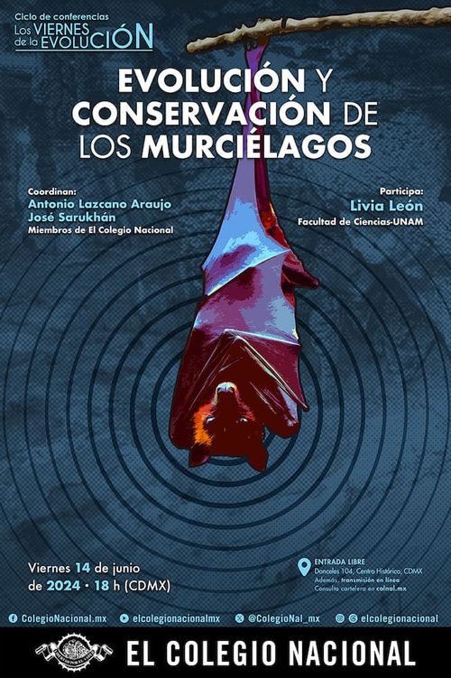 Evolución y conservación de los murciélagos.
