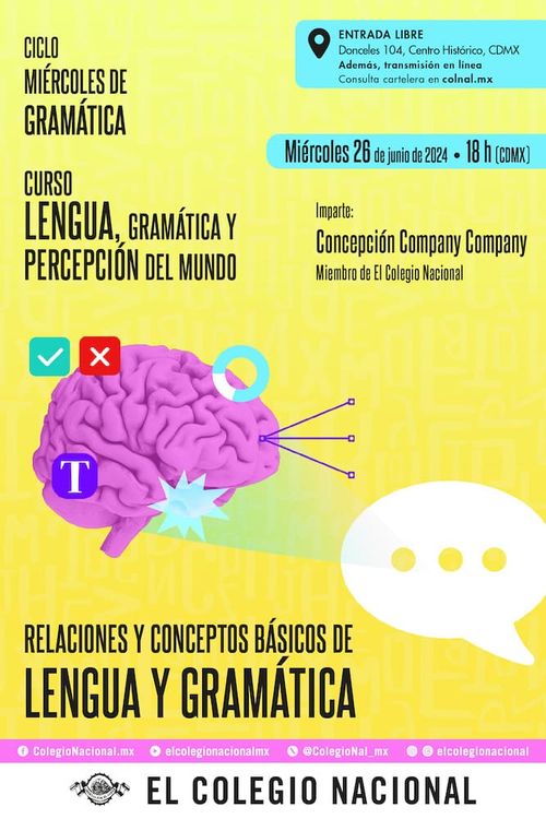Relaciones y conceptos básicos de lengua y gramática
